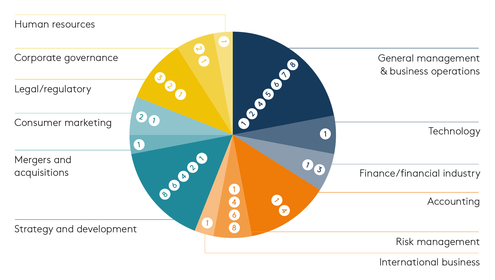 Example pie chart - board member skill set